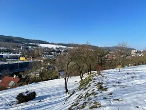 Prodej pozemku pro bydlení, Česká Třebová, 6890 m2