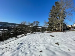 Prodej pozemku pro bydlení, Česká Třebová, 6890 m2