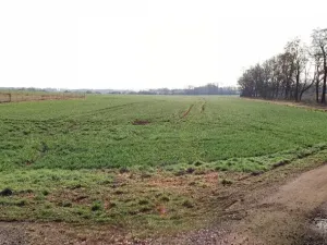 Prodej pole, Chlumec nad Cidlinou, 10037 m2