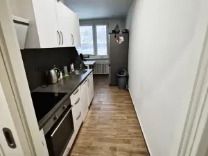 Prodej bytu 1+1, Litoměřice, Odboje, 46 m2