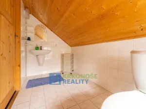 Prodej chaty, Černý Důl, 340 m2