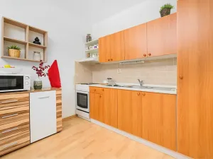 Pronájem bytu 1+kk, Liberec, Jeronýmova, 33 m2