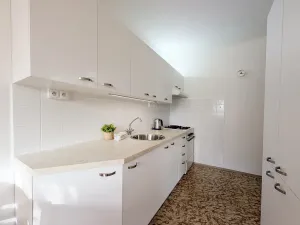 Prodej bytu 3+1, Mladá Boleslav, Jana Palacha, 74 m2