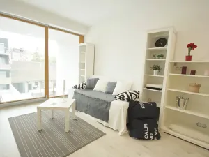 Pronájem bytu 2+kk, Brno, Košinova, 58 m2
