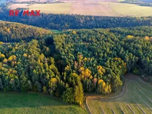 Prodej lesa, Všehrdy, 35057 m2