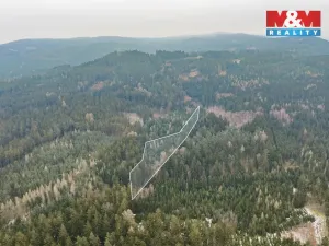 Prodej lesa, Hůrky, 6294 m2