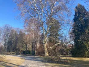 Prodej bytu 2+kk, Uhlířské Janovice, Havlíčkova, 51 m2