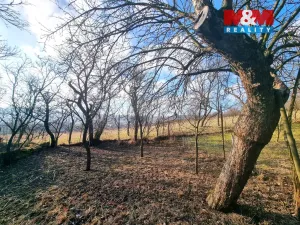 Prodej rodinného domu, Malá Vrbka, 89 m2