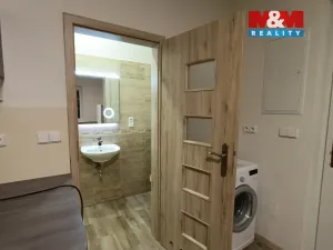 Pronájem bytu 1+kk, Suchdol nad Lužnicí - Tušť, 25 m2