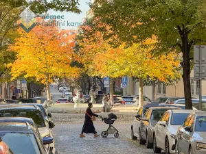 Pronájem bytu 3+1, Praha - Vinohrady, Záhřebská, 106 m2