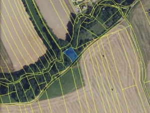 Prodej lesa, Městečko Trnávka - Lázy, 856 m2