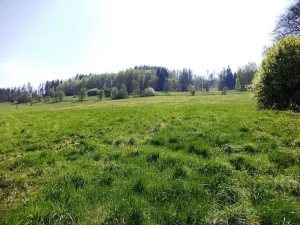 Prodej pole, Semily, 28783 m2