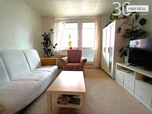 Prodej bytu 3+1, Otrokovice, 56 m2