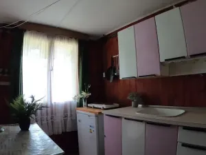 Prodej chaty, Horní Pěna, 41 m2