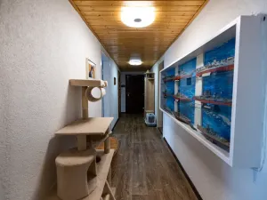 Prodej vícegeneračního domu, Vejprty, 900 m2