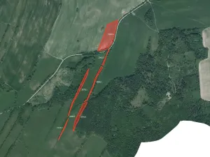 Prodej louky, Město Albrechtice, 64132 m2