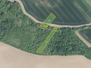 Prodej pole, Hoštice, 17754 m2