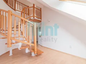 Pronájem bytu 4+1, Ostrava, Přibylova, 118 m2