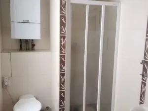 Pronájem bytu 2+1, Praha - Nusle, Sekaninova, 49 m2