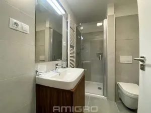 Pronájem bytu 1+kk, Brno, Reissigova, 41 m2