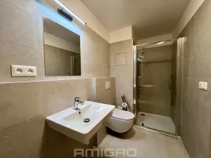 Pronájem bytu 2+kk, Brno, Trnkova, 44 m2