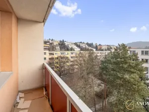 Pronájem bytu 1+1, Brno, Vavřinecká, 35 m2