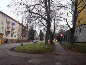 Pronájem bytu 1+kk, Liberec - Liberec I-Staré Město, Ruprechtická, 20 m2