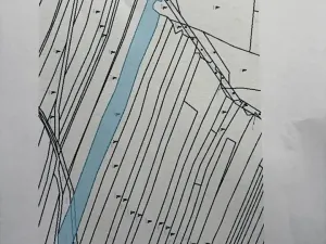 Prodej lesa, Černovice, 5230 m2