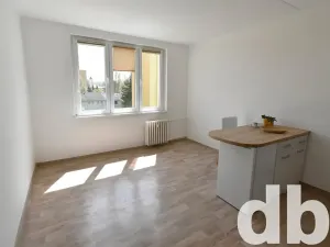 Pronájem bytu 1+kk, Chodov, Čapkova, 26 m2