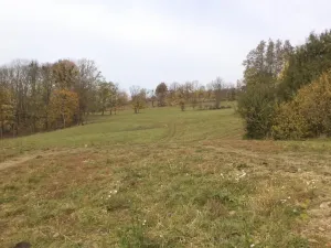 Dražba louky, Nový Jičín, 6670 m2