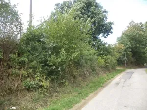 Dražba louky, Střelské Hoštice, 56 m2