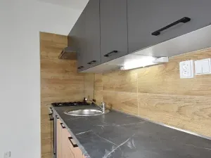 Pronájem bytu 1+1, Chomutov, Dřínovská, 35 m2