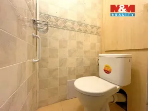 Prodej bytu 2+1, Litoměřice - Předměstí, Družstevní, 53 m2