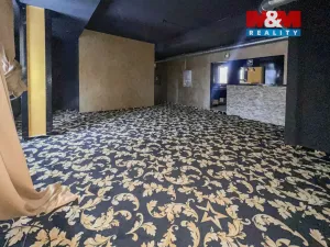 Pronájem obchodního prostoru, Litoměřice - Předměstí, Komenského, 3213 m2