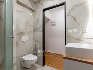 Pronájem bytu 2+kk, Praha - Žižkov, Žerotínova, 52 m2