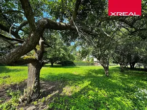 Prodej pozemku pro bydlení, Strančice, 1115 m2