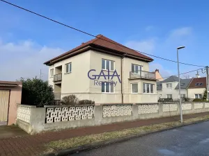 Prodej rodinného domu, Veselí nad Moravou, Břestek, 230 m2