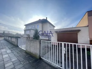 Prodej rodinného domu, Veselí nad Moravou, Břestek, 230 m2