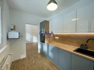 Pronájem bytu 2+1, Veselí nad Moravou, Lány, 60 m2