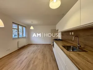 Pronájem bytu 2+kk, Praha - Karlín, Pernerova, 50 m2