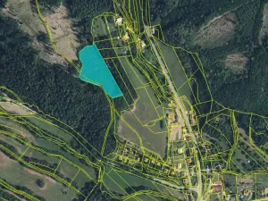 Prodej lesa, Bradlecká Lhota, 36126 m2