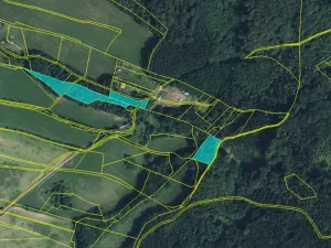 Prodej lesa, Bradlecká Lhota, 36126 m2