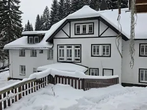 Prodej bytu 1+kk, Špindlerův Mlýn, 25 m2