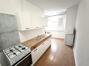 Pronájem bytu 1+1, Plzeň, Krejčíkova, 43 m2