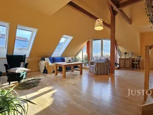 Prodej bytu 5+kk, Písek, Budějovická, 182 m2
