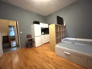 Pronájem bytu 1+kk, Praha - Vinohrady, Pod Zvonařkou, 27 m2