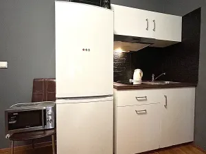 Pronájem bytu 1+kk, Praha - Vinohrady, Pod Zvonařkou, 27 m2