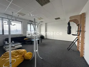 Pronájem kanceláře, Brno, 620 m2