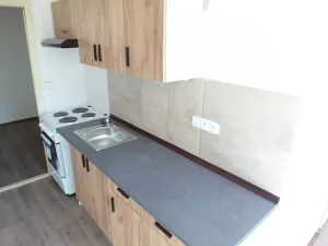 Pronájem bytu 1+1, Ústí nad Labem, Jindřicha Plachty, 42 m2