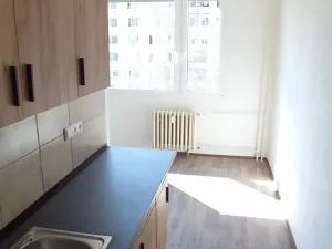Pronájem bytu 1+1, Ústí nad Labem, Jindřicha Plachty, 42 m2